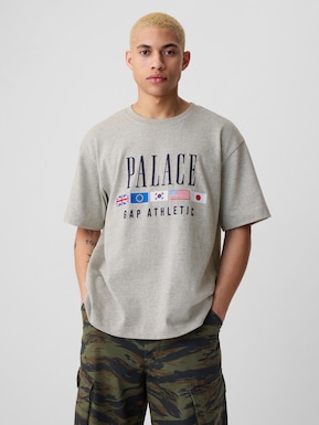 Palace Gap ヘビージャージー Tシャツ